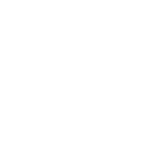 Pragmatic