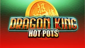 Dragon King Hot Pots